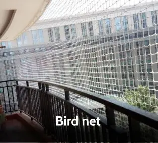 Bird Net Gujarat