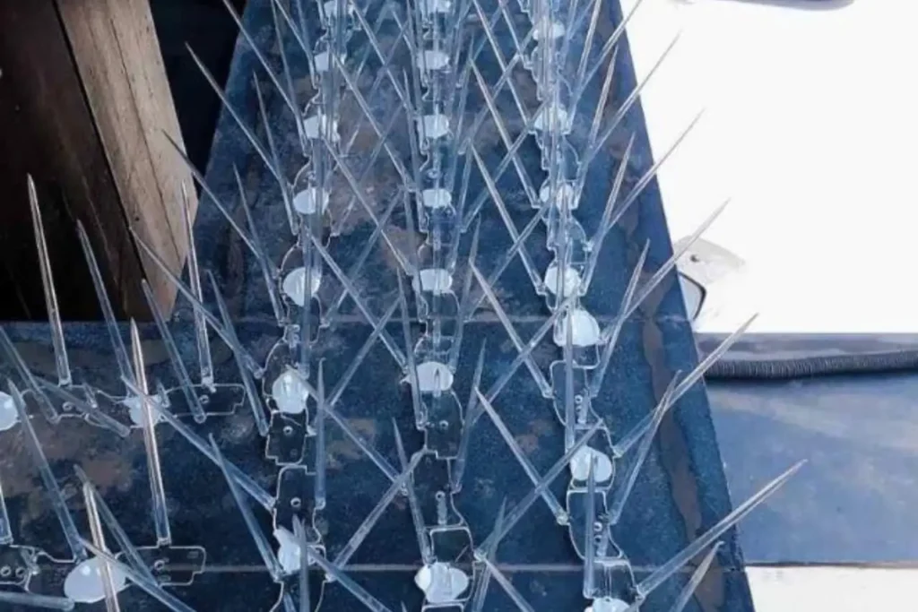 Bird Spikes in Chennai