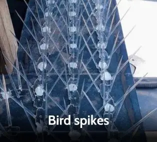 Bird spikes in Chennai for effective bird deterrence and building protection.
