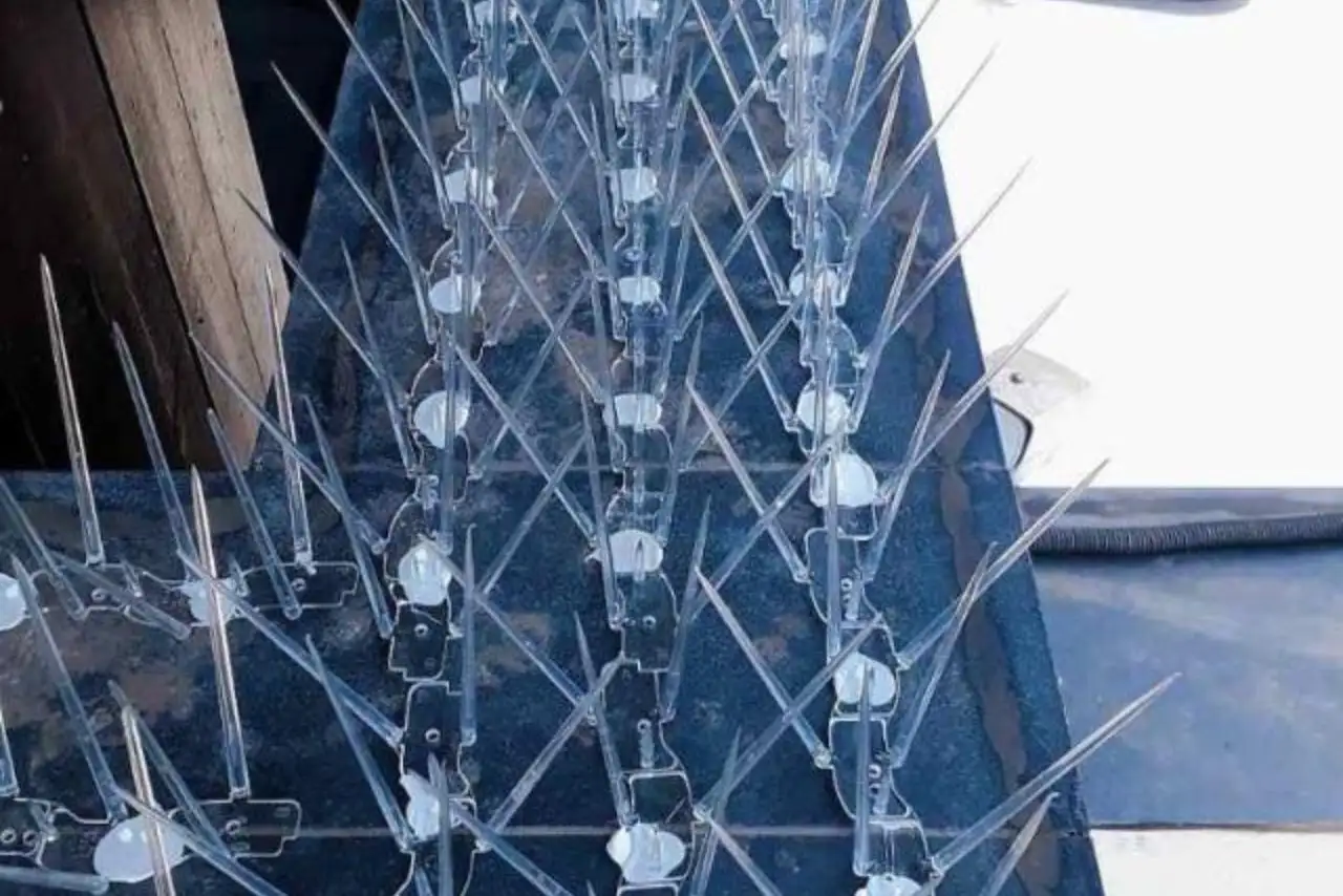 Bird Spikes in Chennai