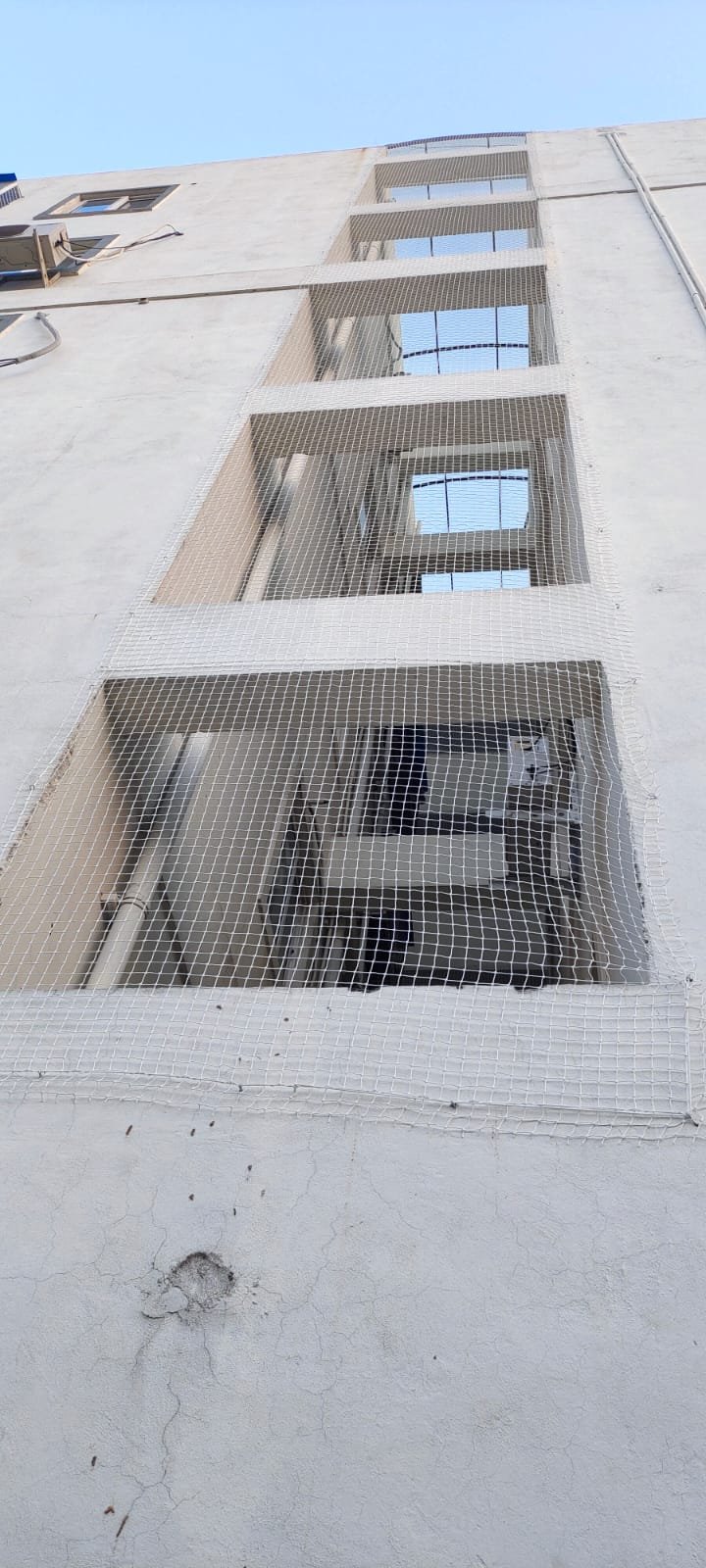 Pigeon Net Work